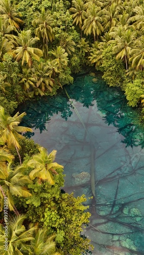 Beautiful tropical lake with crystal clear water and palm trees, Danau Paisu Pok in Luk Panenteng, Indonesia; Danau Paisu Pok Luk Panenteng, Banggai, Sulawesi Tengah, Indonesia