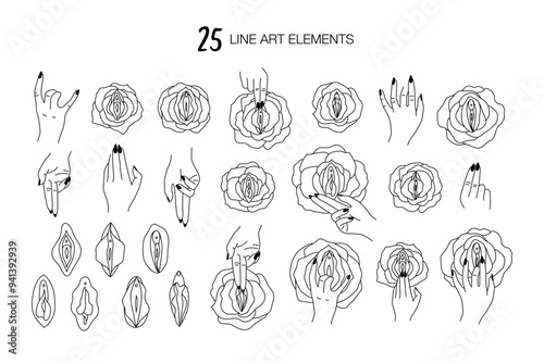 Female vulva and clitoris. Line art. Vulva flowers. Hand touching flower. Vector