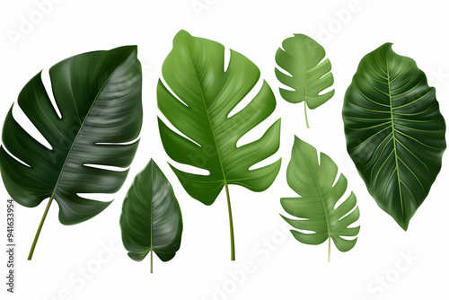 Assortment of Lush Green Tropical Leaves" 