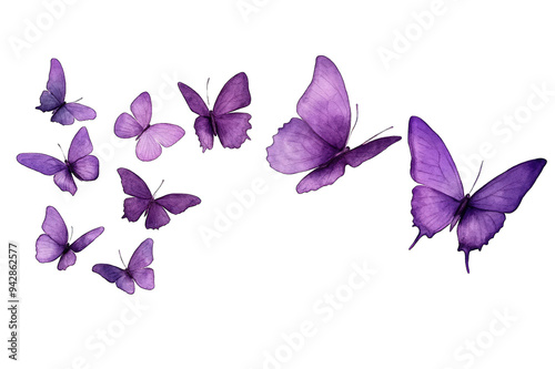 Flock of purple butterflies on an isolated transparent background