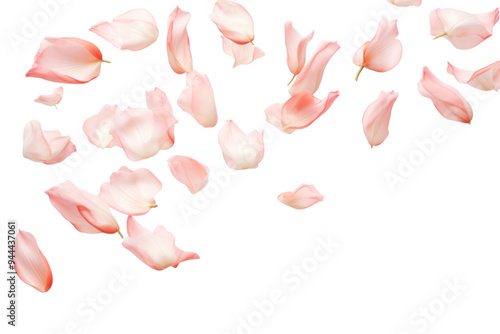 PNG Delicate pink petals floating gracefully