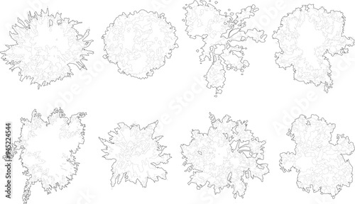 Tree plan outline silhouettes - top view 4