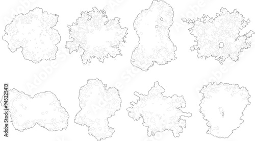 Tree plan outline silhouettes - top view 3