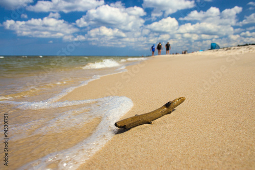 mały kawałek drewna na piaszczystej plaży