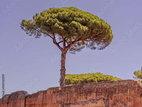 Palatin Hügel in Rom Italien 