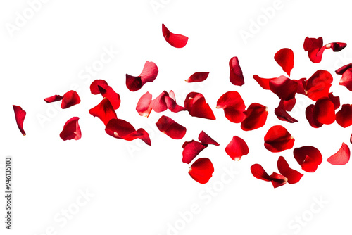 Tropical red flower petals falling in the air, beautiful floral levitation isolated on transparent background.