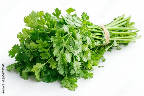 A bunch of fresh cilantro tied with twine, showcasing its vibrant green leaves.