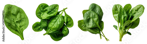 Fresh spinach leaves png cut out element set