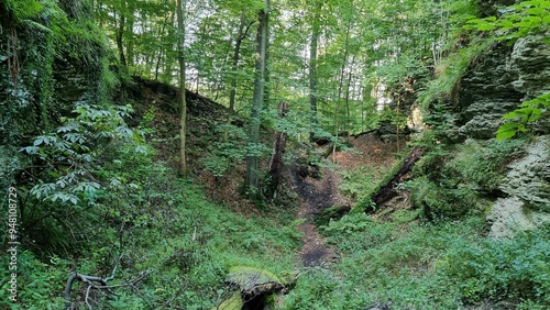 Naturschutzgebiet Bielsteinhöhle 