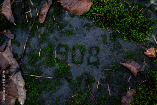 German memorial in the cemetery overgrown with moss on a green background of nature