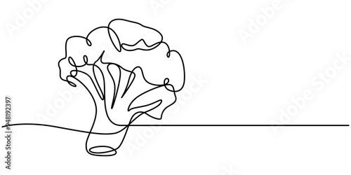 Continuous single drawn one line broccoli vegetables hand-drawn picture silhouette. Line art. Doodle, one continuous single line of green broccoli isolated on white background. vegetable food concept