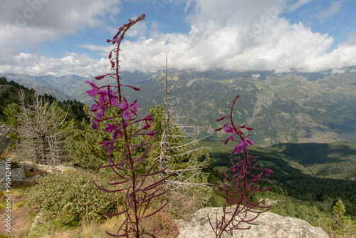 Sampeyre, Val Varaita (Cuneo)