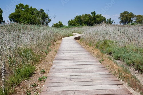 Oasi di Vendicari, Siracusa sentiero nei pantani