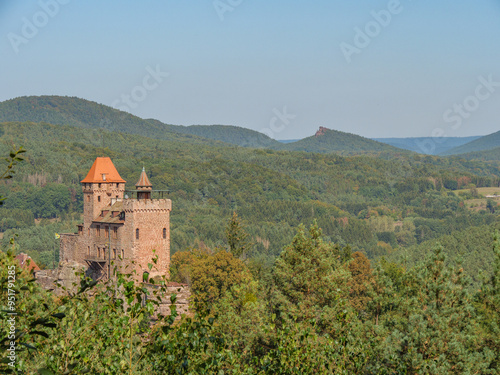 Im Pfälzer Wald