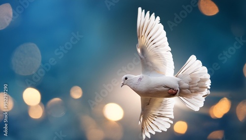 beautiful white dove bird wallpaper for peace day celebration