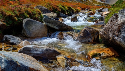 A gentle brook babbles over smooth pebbles, its clear waters reflecting dappled sunlight through overhanging branches. Fish dart beneath the surface while dragonflies hover above.