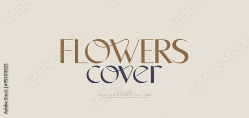 Beauty elegant font alphabet logo. Typography beautiful fashion luxury classic letters serif italic fonts decorative wedding vintage flower logos. vector illustration