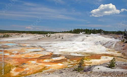 looking out over milky blue hot springs and orange microbial mats in the porcelain basin of norris geyser basin on sunny summer day in yellowstone national park, wyoming 