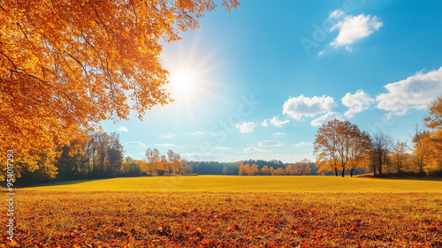 Wonderful landscape during autumn, sunny rural panoramic view. Countryside scenery. Typical autumn colors. Wonderful landscape during fall season, typical orange, brown automn colors. Tranquil scenery