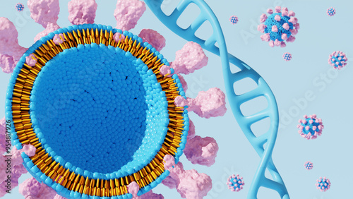 Phospholipid membrane structure cross-section showing molecular structure with hydrophilic head and hydrophobic tails.