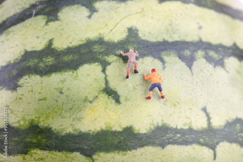 Miniature creative watermelon rock climbing