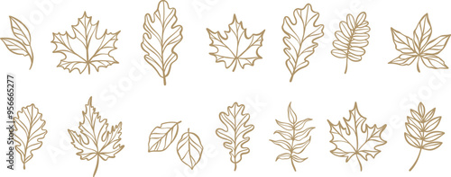 Autumn leaf line art illustration, hand drawn doodle leaves clip art set