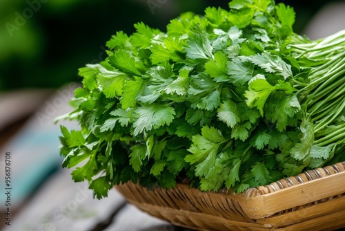 Fresh herbs, basil, cilantro, parsley add a burst of flavor to any dish