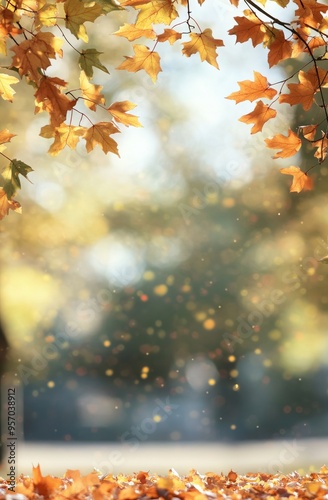 Group of orange leaves in the autumn. Outdoor background.