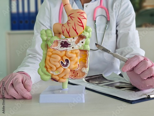 Doctor holding a scalpel on intestinal anatomy. Surgical approach to treatment