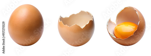 Full, cracked open egg with yolk, egg shell. Cut out isolated PNG