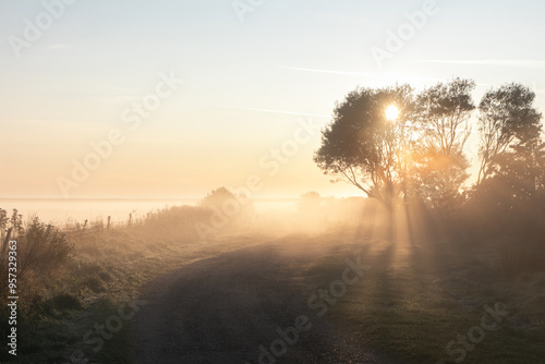 field path with sunrays in the fog, sympathy card, condolences