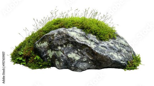 Rock with moss on transparent white background