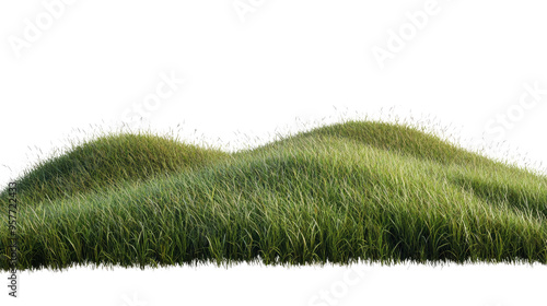 pasture hill on transparent white background