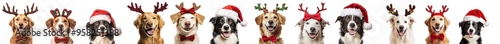 A banner close-up shows three dogs in reindeer antlers diadems, Santa hats, and red ribbons, adorned with a red ribbon or wreath.