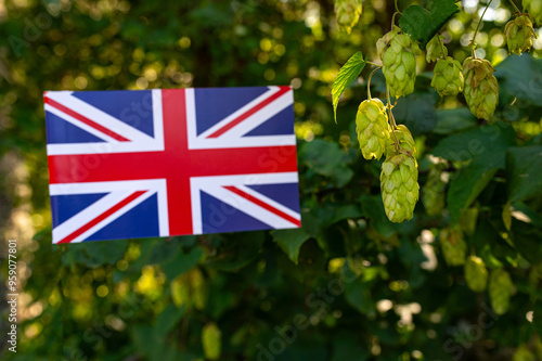 English hops. Brewing beer ingredient.