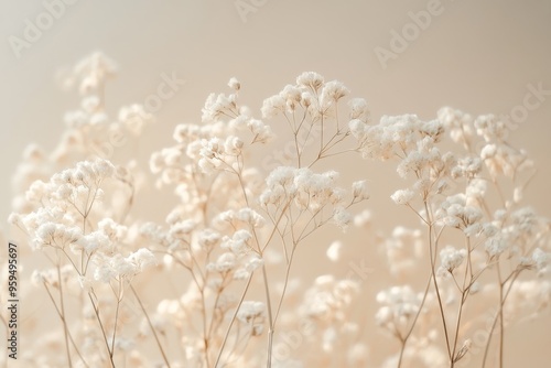 Delicate white flowers with soft brown stems and a beige background.