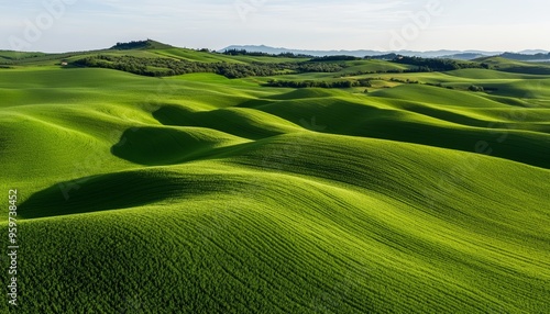 Wide expanse of gently curving green hills, capturing the rhythmic flow of agricultural fields in a serene and harmonious landscape