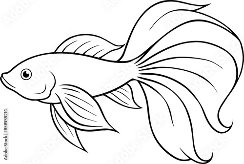 Elegant Betta Fish Line Drawing Showcasing Graceful Fins and Flowing Tail in Black and White Illustration