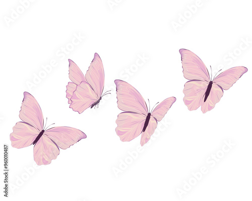 pink butterfly on white background 