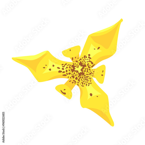 Illustration vector graphic of trimezia petal