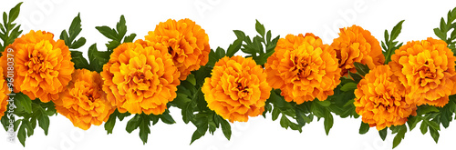 PNG flowers. Orange marigold cempasuchil flower garland isolated on transparent background. Festive decoration Day of the Dead, Diwali, Chinese Mid Autumn Festival celebration