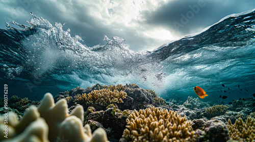 Underwater Paradise: Vibrant Coral Reef with Tropical Fish