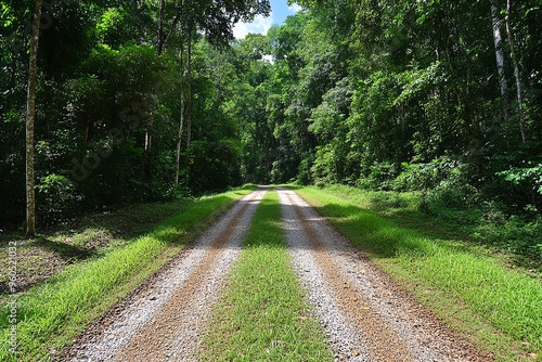 Nature reserve, dense forests, lush undergrowth offer a haven for diverse species of flora and fauna