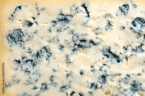 Blue cheese, dor blue or roquefort texture background