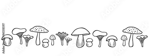 Mushroom line art border, vector illustration.