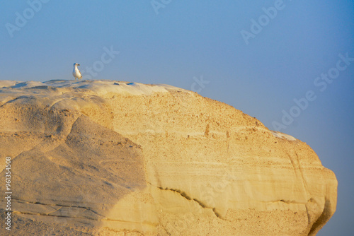 Gaviota sola al amanecer sobre una roca en acantilado de Sarakiniko beach, isla de Milos