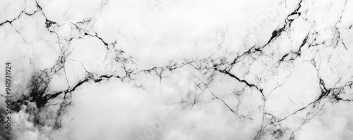 A monochrome marble texture with fine black veins running through a white, cloudy background.