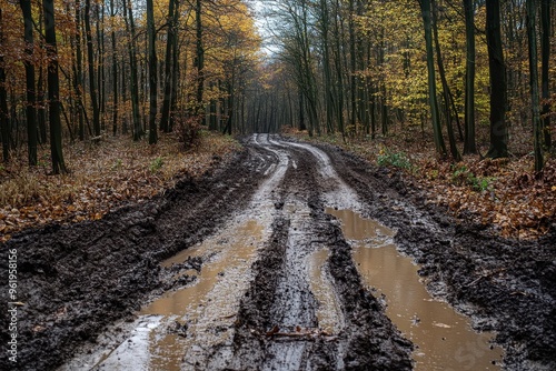 Unpassable muddy forest track off the road