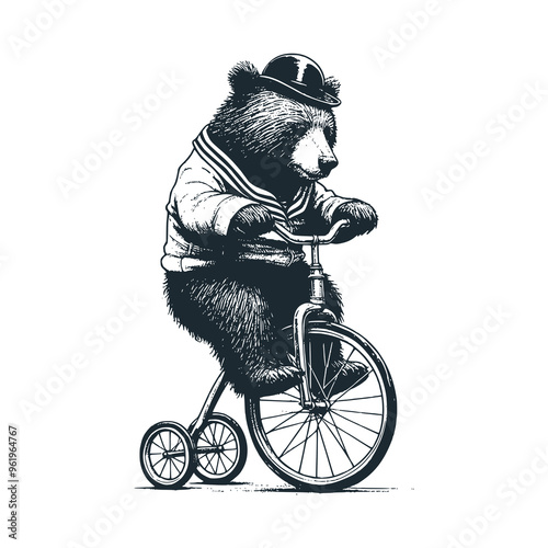 The bear wear victorian suit ride the penny farthing vintage bike. Black white vector illustration. 