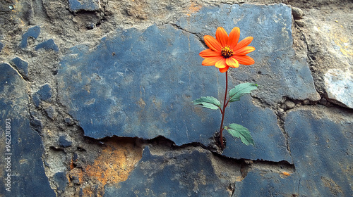 Flowers of Hope - A single flower growing through concrete symbolizes resilience and hope.